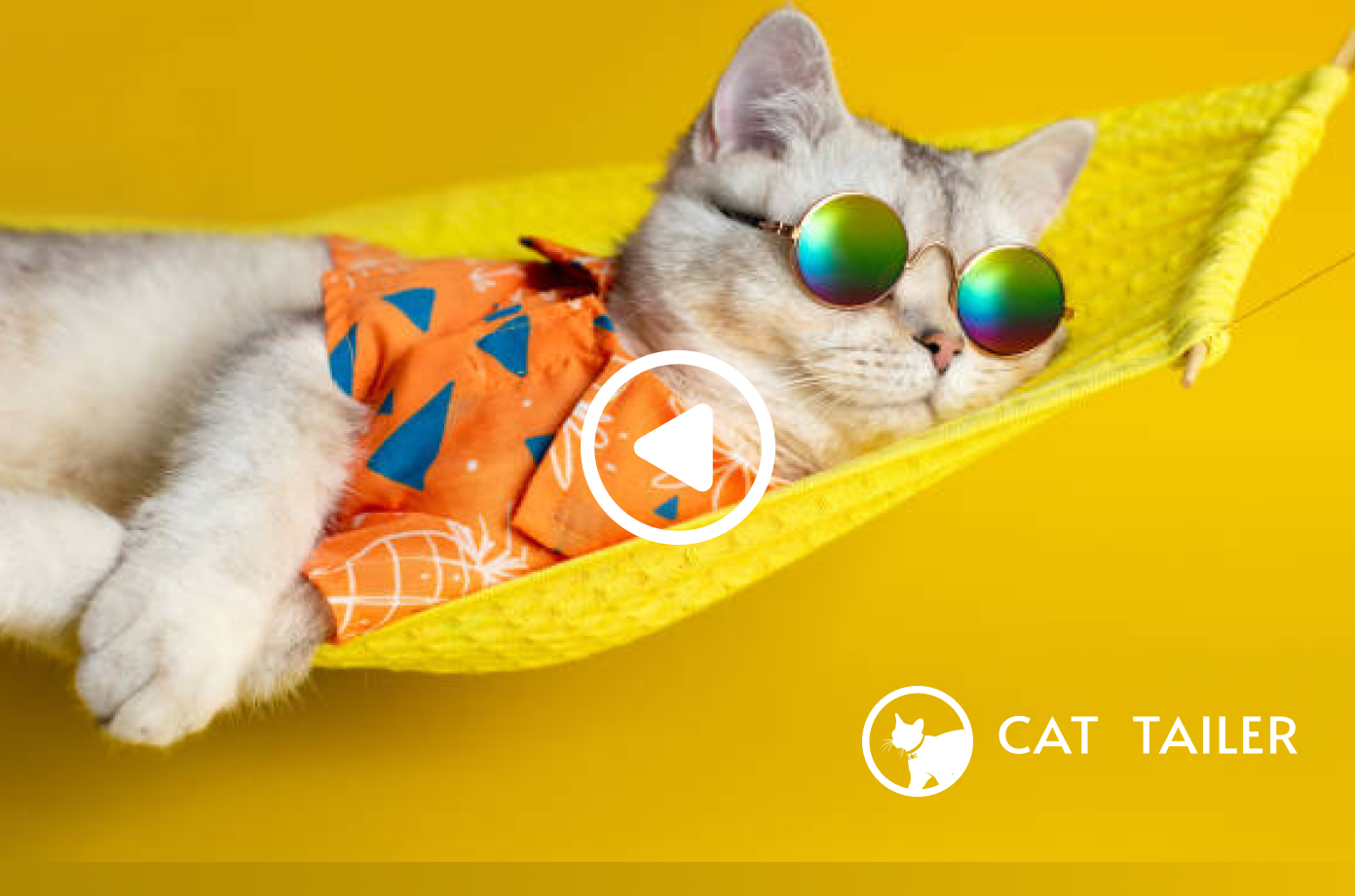 CatTailer project